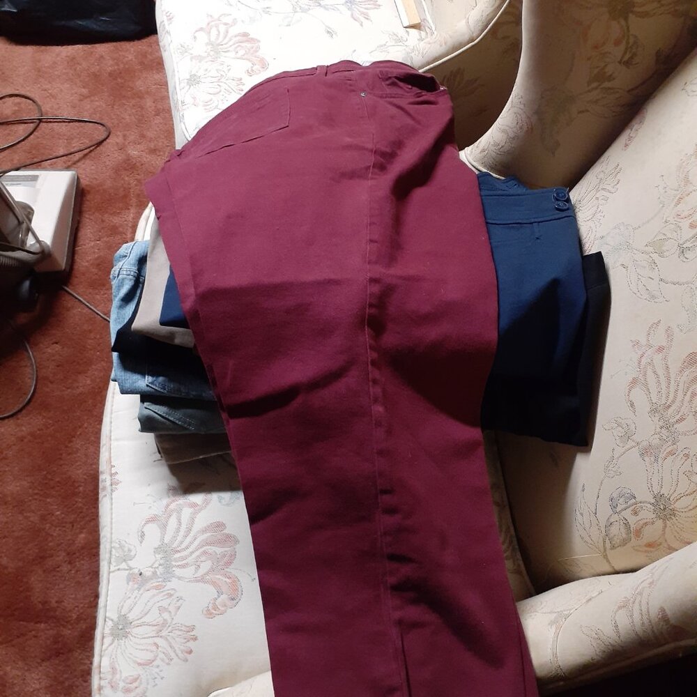 gloria Vanderbilt  jeans